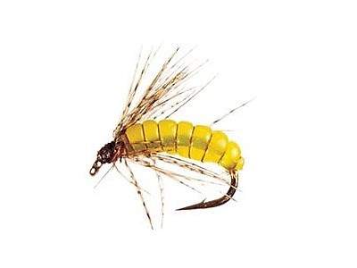 http://www.coolfisher.ru/UserFiles/Image/img128028_77739.jpg
