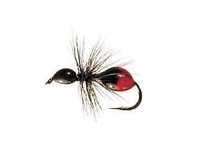 http://www.coolfisher.ru/UserFiles/Image/img128030_13654.jpg