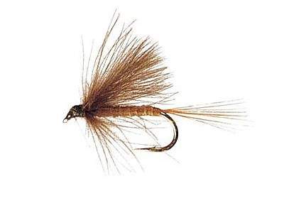 http://www.coolfisher.ru/UserFiles/Image/img128057_25571.jpg