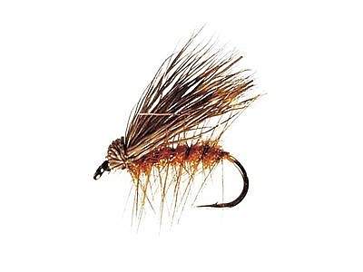 http://www.coolfisher.ru/UserFiles/Image/img128072_22457.jpg