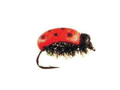 http://www.coolfisher.ru/UserFiles/Image/img128090_28433.jpg
