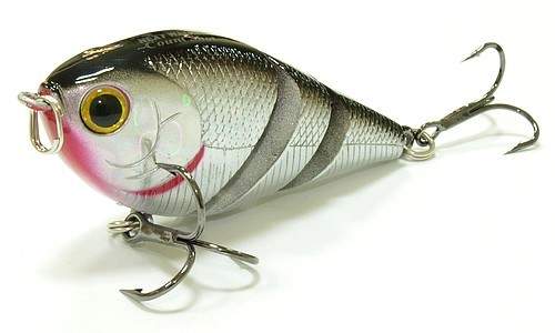  Lucky Craft Next Walker-000F_0596 Bait Fish Silver