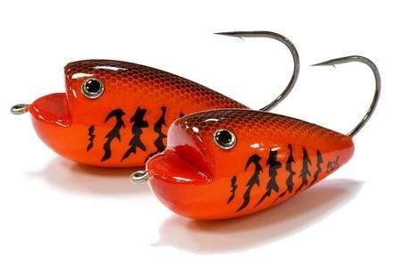 http://www.coolfisher.ru/UserFiles/Image/img157524_31198.jpg