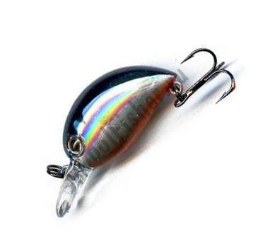  ZipBaits Baby Hickory MDR 811R