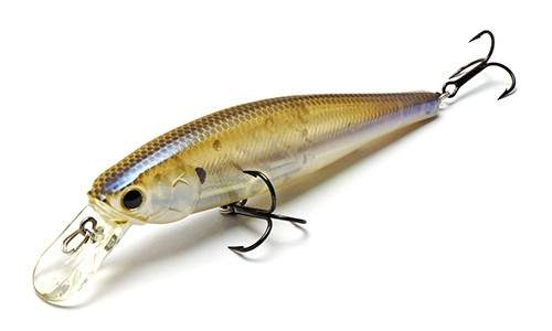  Lucky Craft Pointer 100-241 Striped Shad
