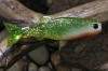����������� �������� Orka Oskar 4112-OS-8 Y17 (��. 5 ��.)