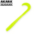  Akara Asamura 75 04Y (LC3) (6 .)
