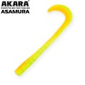  Akara Asamura 75 84T (LC3) (6 .)