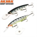  Akara Deep Winner 125F 24 . (6/7 oz 5,0 in) A26