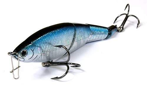 Pointer LL 125 S~Smasher~