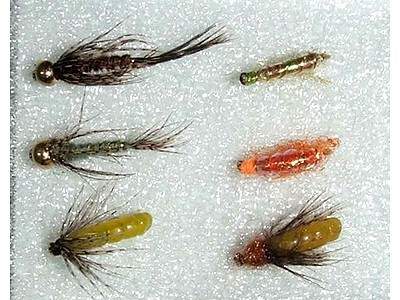 ����� �����