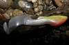   Orka Shad Tail 2014-ST-21 WY