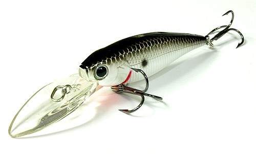 Bevy Shad 60DD