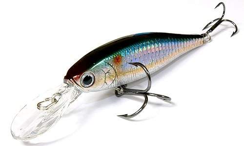  Lucky Craft Pointer 78DD-270 MS American Shad