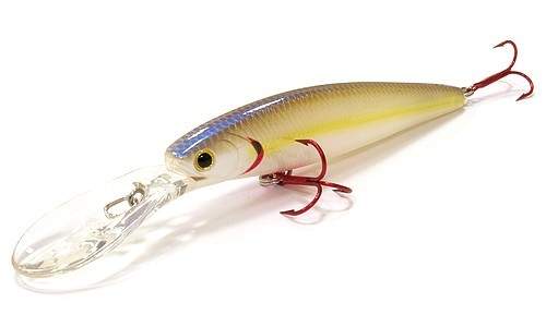  Lucky Craft Staysee 90SP V2-104 Bloody Chartreuse Shad