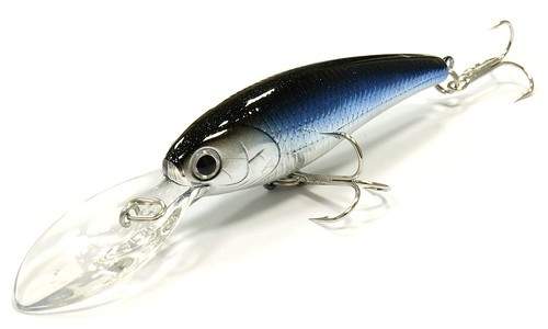 Staysee 60SP Staysee 60SP