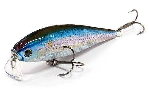  Lucky Craft Pointer 128 SSR-270 MS Americab Shad