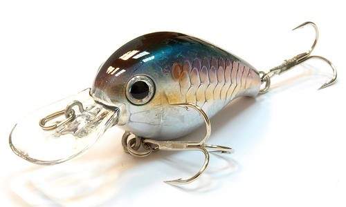  Lucky Craft Clutch MR-270 MS American Shad