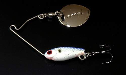  Lucky Craft Areas 1|8-261 Table Rock Shad