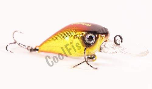  Fishycat Icat 32F DR-R15