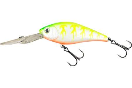  Fishycat Deepcat 73F SDR-X11 Glow
