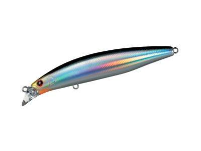 Shore Line Shiner Z Vertice