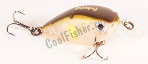  Fishycat Icat 32F SR-R18