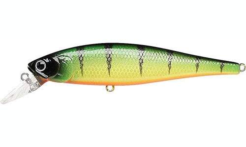  Lucky Craft Pointer 100-889 Gold Skin Perch