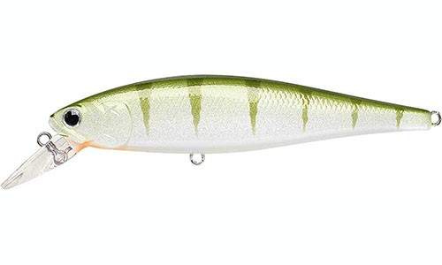  Lucky Craft Pointer 100-888 Green Perch