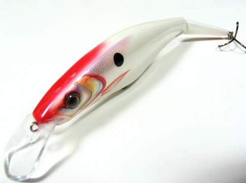 Goldy G19S Extra Bait