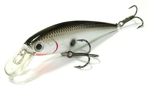  Lucky Craft Pointer 78-077 Or Tennessee Shad