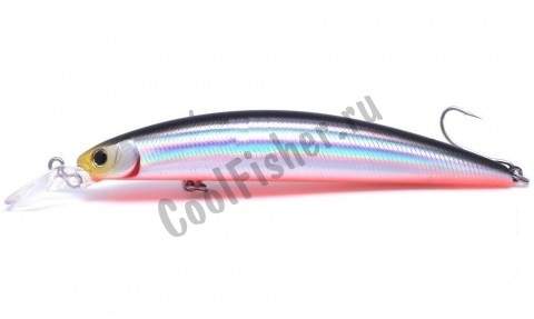  DAIWA SHORE LINE SHINER CURRENT MASTER 11S-G | K KATAKUCHI (6362)