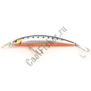  DAIWA SHORE LINE SHINER CURRENT MASTER 11S-G | KIWAMI IWASHI (6361)