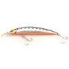  DAIWA SHORE LINE SHINER CURRENT MASTER 11S-G | KIWAMI IWASHI (6361)