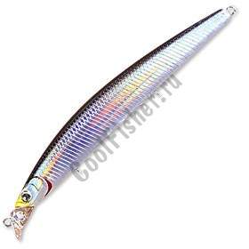  DAIWA SHORE LINE SHINER R50+SSR F-G | KATAKUCHI Z (4628)