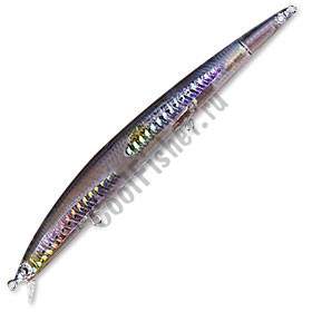  DAIWA SHORE LINE SHINER SL 17F-G | SCHOOL IWASHI (0259)