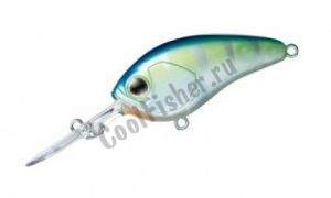  DAIWA STEEZ CRANK 100 | C MONSTERCHART (04800764)