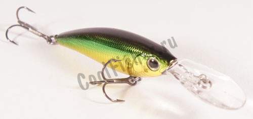  DAIWA STEEZ SHAD 54SP-MR | GREEN GOLD (04801594)