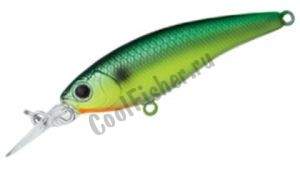  DAIWA STEEZ SHAD 54SP-SR | SEXYSUNBCHART (04801580)