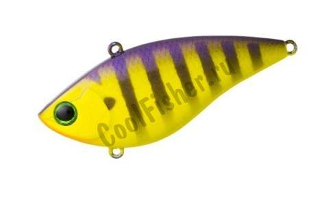 Daiwa T.D. Vibration Steez Custom