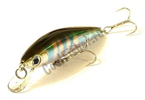  DAIWA TD MINNOW 1061SP | LASER C-1 | 04815231