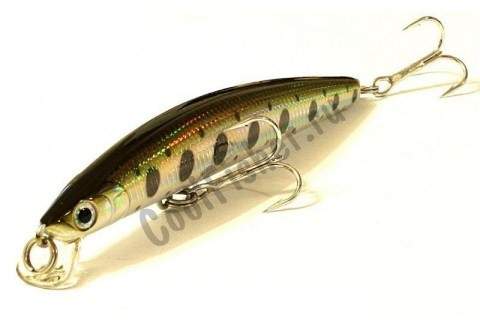  DAIWA TD MINNOW 1091 | LASER C-2 | 04815242