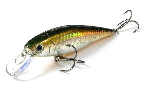  Lucky Craft Pointer 78-166 MS Aurora Shad