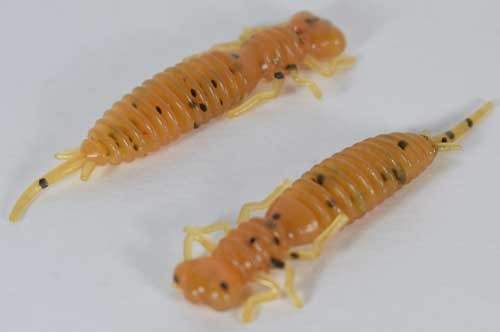   Fanatik Larva 2 (8 )  002