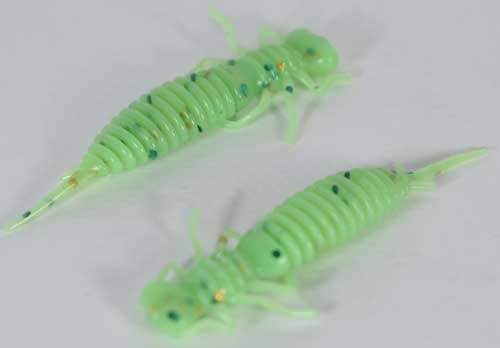   Fanatik Larva 3 (6)  020