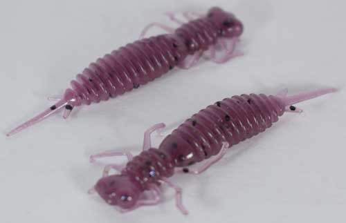   Fanatik Larva 2 (8 )  021