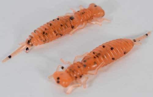   Fanatik Larva 1,6 (10)  023