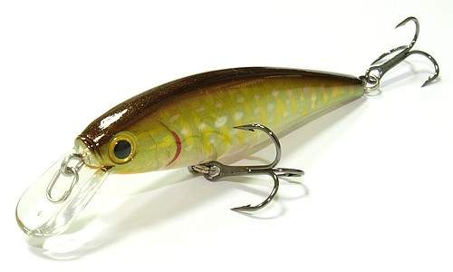 Lucky Craft Pointer 78-881 Ghost Northern Perch
