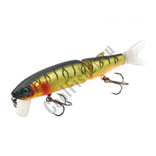  Jackall Magallon mat gold tiger