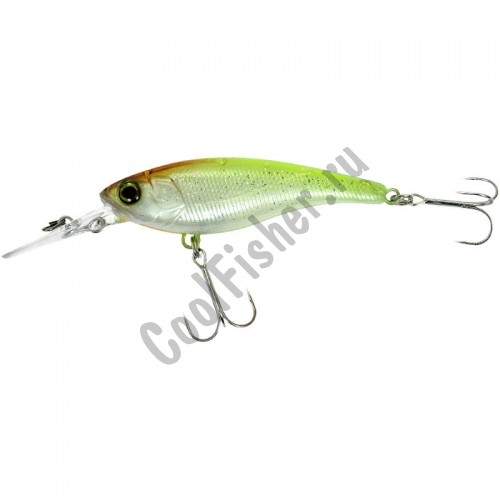  Jackall Soul Shad 58SR SP chart back glitter